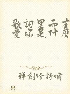 歌词里面有爱你爱你是什么歌