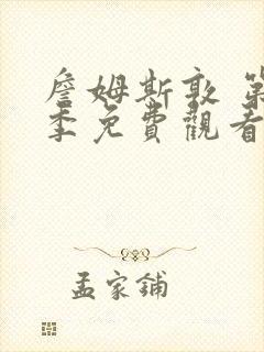 詹姆斯敦 第1季免费观看全集