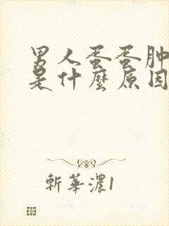 男人蛋蛋肿大疼是什么原因