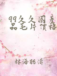 99久久国产精品毛片价格