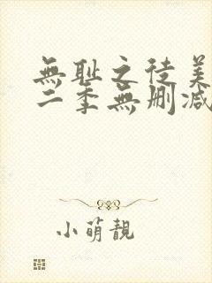 无耻之徒美版第二季无删减