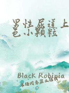 男性尿道上有白色小颗粒