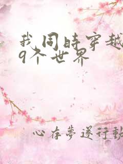 我同时穿越了99个世界