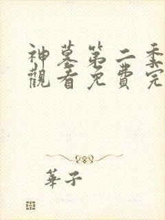 神墓第二季在线观看免费完整版高清