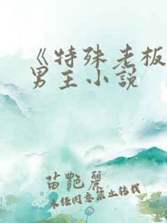 《特殊老板》双男主小说