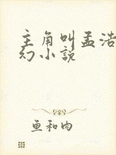 主角叫孟浩的玄幻小说