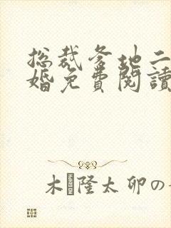 总裁爹地二度宠婚免费阅读