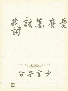 我该怎么爱你歌词