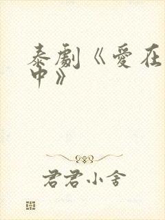 泰剧《爱在空气中》