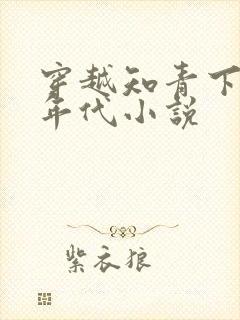 穿越知青下乡的年代小说