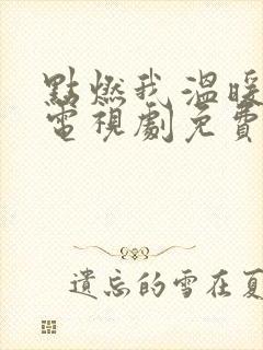 点燃我温暖的你电视剧免费观看