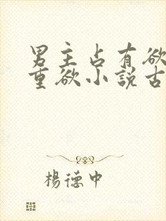 男主占有欲强且重欲小说古言