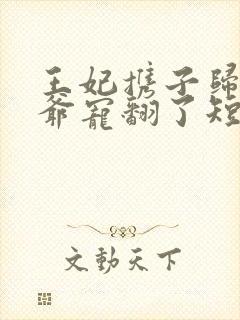 王妃携子归来王爷宠翻了短剧免费