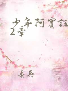 少年阿宾钰慧12章