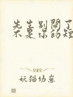 先生别闹了新娘不是你的短剧全集播放