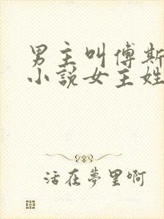 男主叫傅斯年的小说女主姓盛