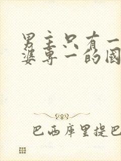 男主只有一个老婆专一的国漫