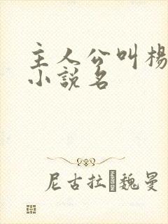 主人公叫杨凡的小说名