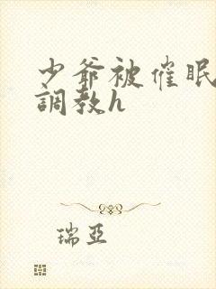 少爷被催眠玩弄调教h