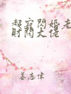 超宠闪婚老公是财阀大佬