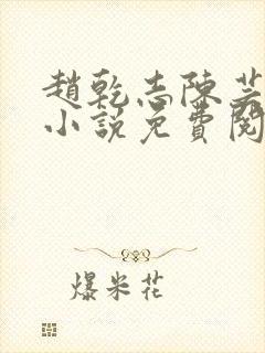 赵乾志陈芸穿越小说免费阅读