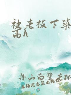 被老板下药侵犯高h