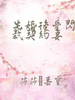 先婚后爱闪婚总裁契约妻