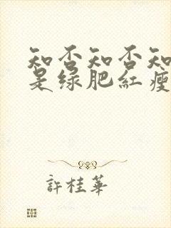 知否知否知否应是绿肥红瘦是什么意思