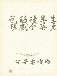 我的后半生2电视剧全集免费播放