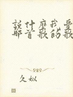 说什么我爱你是哪首歌的歌词