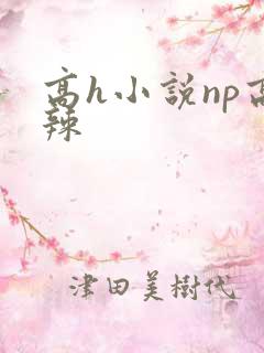 高h小说np高辣