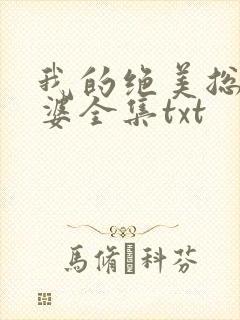 我的绝美总裁老婆全集txt