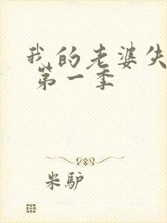 我的老婆失忆了 第一季