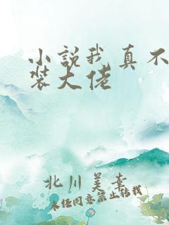 小说我真不是女装大佬