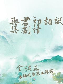 与君初相识 分集剧情