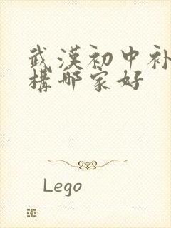 武汉初中补课机构哪家好