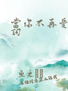 当你不再爱我歌词