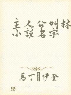 主人公叫林辰的小说名字