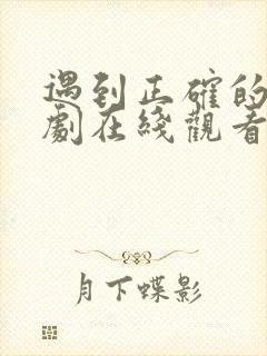 遇到正确的你短剧在线观看