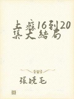 上瘾16到20集大结局