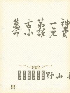 万古第一神李天命小说免费