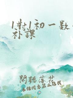 1对1初一数学补课