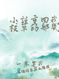 小说重回我爸当校草的那几年