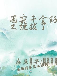 团宠千金的马甲又被拔了