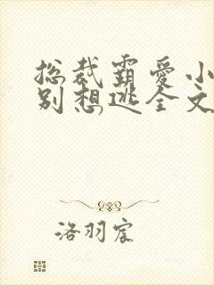 总裁霸爱小娇妻别想逃全文免费阅读