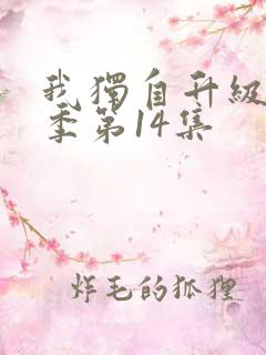 我独自升级第二季第14集