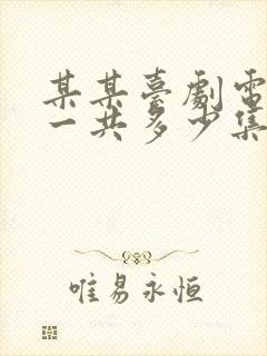 某某台剧电视剧一共多少集