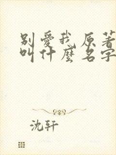 别爱我原著小说叫什么名字
