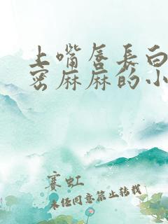 上嘴唇长白色密密麻麻的小点