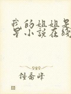 我的姐姐是大明星小说在线阅读